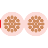 Twin Parallel Cable